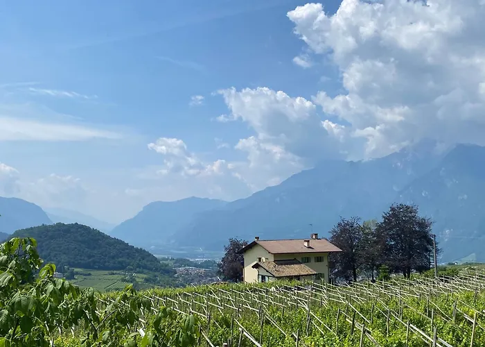 B&B Marina “La Casa in Collina”
